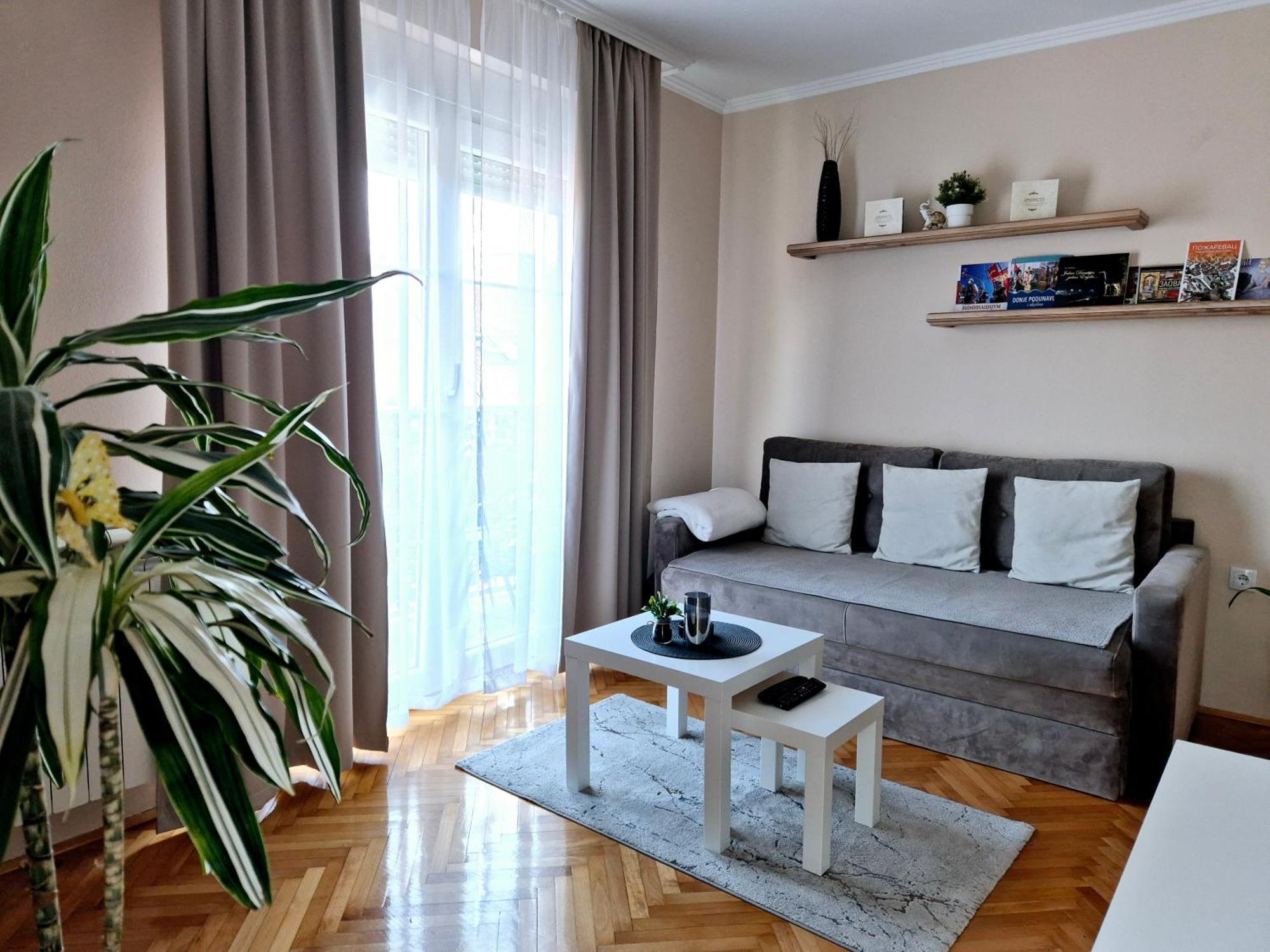 Apartman Centar Požarevac 外观 照片